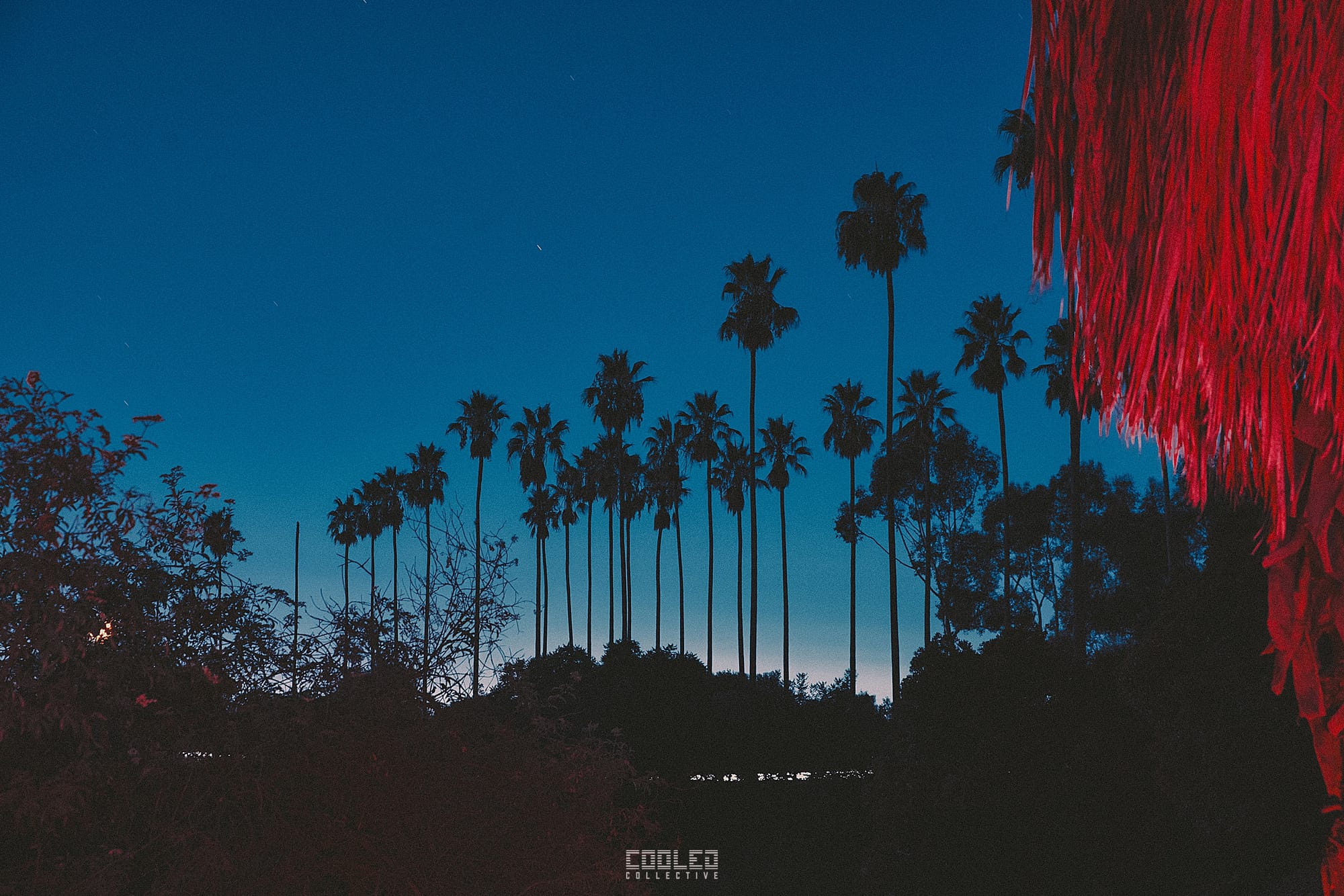 Midnight Hangs - Sept 2024